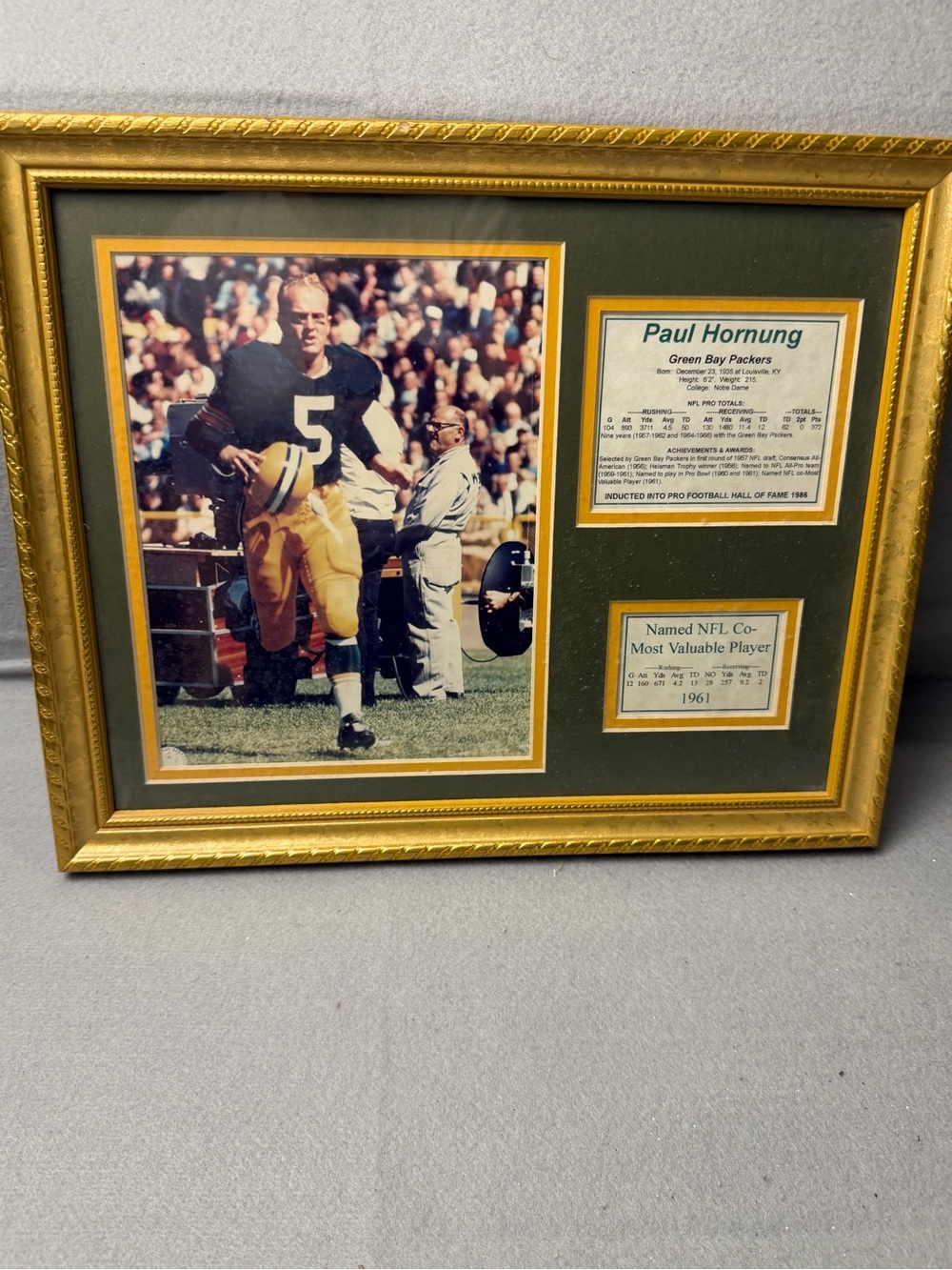 Green Bay Packers, Green and Gold Framed Paul Hornung Memorabilia
